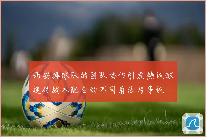 西安排球队的团队协作引发热议球迷对战术配合的不同看法与争议