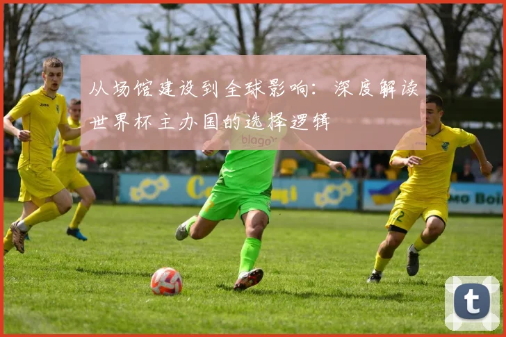 从场馆建设到全球影响：深度解读世界杯主办国的选择逻辑